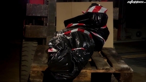 Exploding Passions in This Gangland Tale