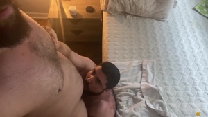 Bear Films: Climax Concludes with Sticky Surprise