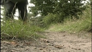 Felix's Big Uncut Surprise