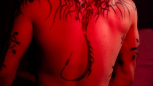 Next Door Male: Teasing and Frenzy in One