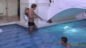 Lubeless Love on Display