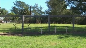 Next Door Male: Brett's Big Dick Takes Center Stage