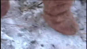 Boyz Party: Jordan Michaels' Sensual Feast