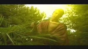 Boyz Party: Spreading Seed Along DJK's Flowing Path