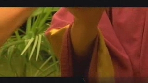 Boyz Party: Spreading Seed Along DJK's Flowing Path