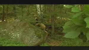 Boyz Party: Wet Willy Weekends