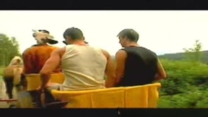 Boyz Party: Navigating the River of Romance