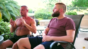Bear Films: The Slow Build-Up to a Sultry, Wild Romp
