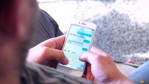 Bear Films: An Unexpected Visitor Takes Over