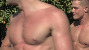 Falcon Studios: Frenzied Friction and Fudge-Feasting Fun