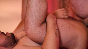 Bear Films: Bareback Frenzy in Sin City