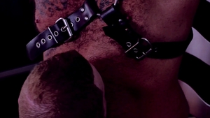 Bear Films: Two Men, One Bench, Endless Fucking