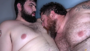 Bear Films: Intimate Exploration