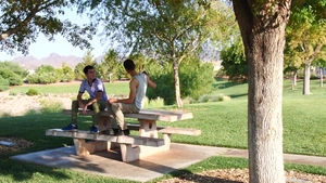 Southern Strokes: Riding Raw on Juicy Boners