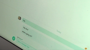 Bear Films: Web-based Wank Buddy