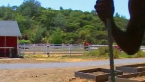 Next Door Male: Sun-kissed Surfer's Big Dick Fun