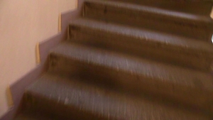 Debt Dandy: Unveiling Their Hidden Passions