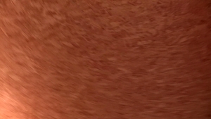 Debt Dandy: Rural Renovation Rendezvous