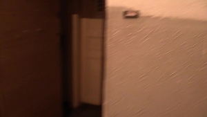 Debt Dandy: Hookers and Paintings