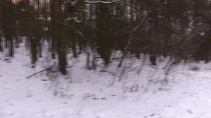 Czech Hunter: When Ski Slopes Get Dirty