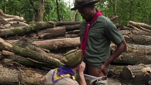 scoutboys: Unbridled Youth & Experience