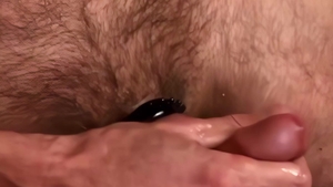 Bear Films: Wolves on the Prowl for Pigs