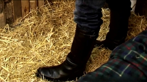 menatplay: Master Miles' Rough Ride