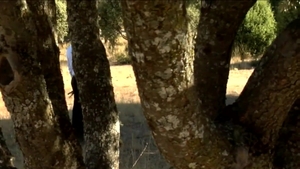 menatplay: MenatPlay: Heat Stroke - Wet & Wild with Sergi