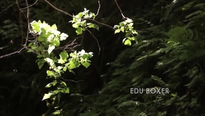 menatplay: Edu Takes His Business to New Levels with Robbie