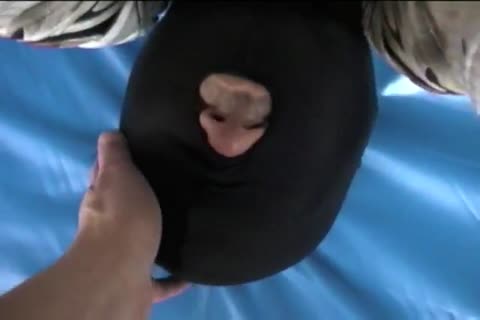 Feet Love and Facesitting Part 1