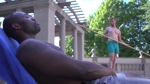 Bro Seeking Bro: Intense Kissing Leads To Passionate Sucking