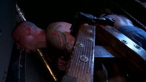 High Performance Men: Hairy and Hard: A Passionate Tale