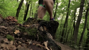 staxus: Two Twinks Go Wild: Boris and Ezra