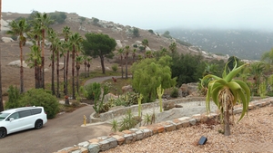 True Male: Relaxation with Cliff Jensen