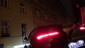 video art holland movies: Peter Explores New Assholes