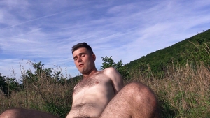 Hairy Havoc in the Woods