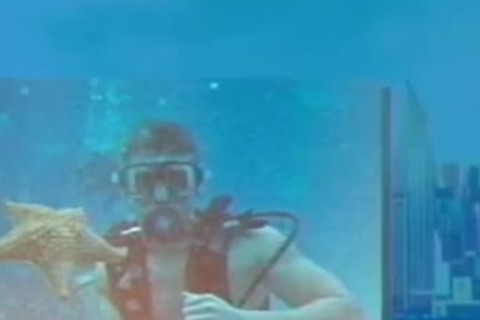 Tyra Show: gay For Pay PART ONE