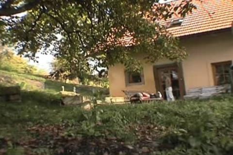 delicious twinks breeding outdoors in public