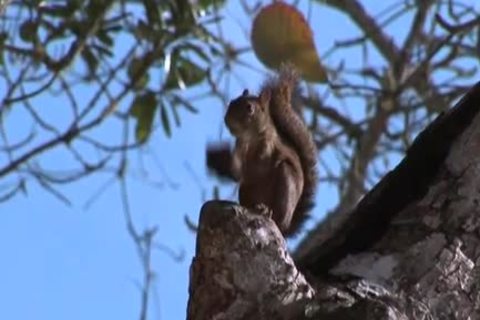 This is, like, the most nice undressedBACK beach sex