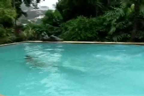 Spy monitors a lusty poolside threesome