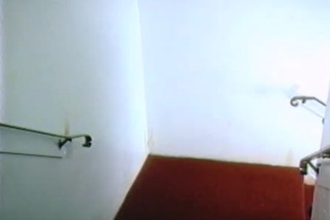 Cop voyeur interracial fucking