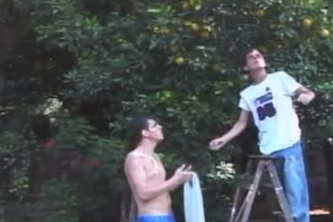 Fruit picking Latinos are really lustful