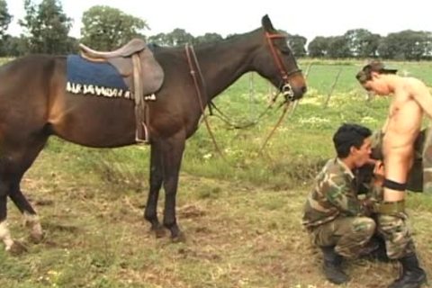 This horse won\\'t ask and he can\\'t tell