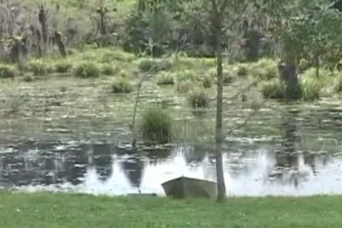 this man pokes his way out of trouble